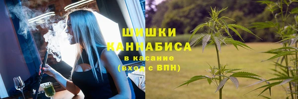 дживик Аркадак