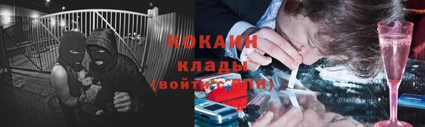 ешки Арсеньев