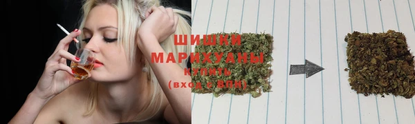 ешки Арсеньев