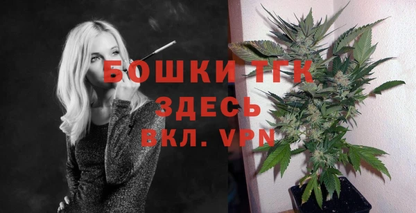 ешки Арсеньев